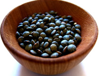 Lentilles